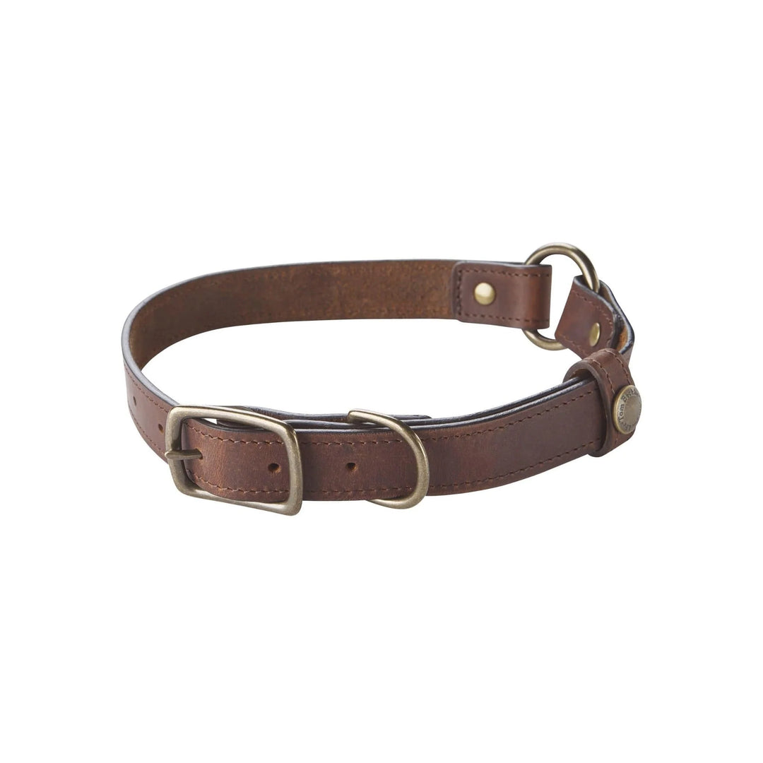 Tom Beckbe Dog Collar