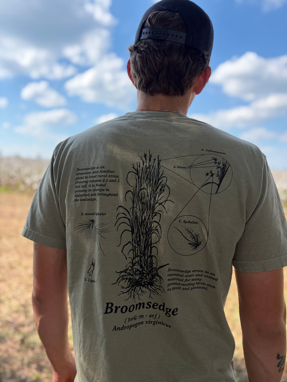 Broomsedge Botanical Illustration T-Shirt