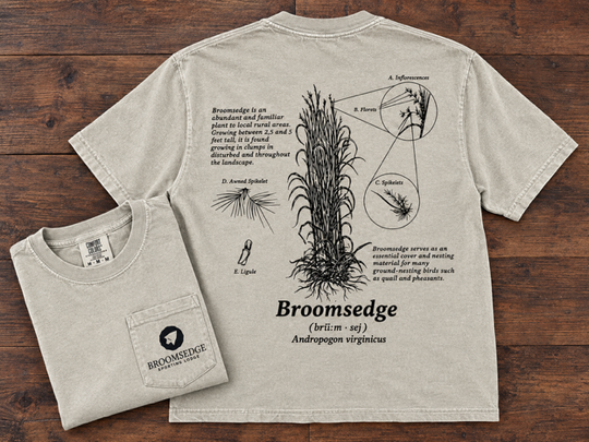 Broomsedge Botanical Illustration T-Shirt